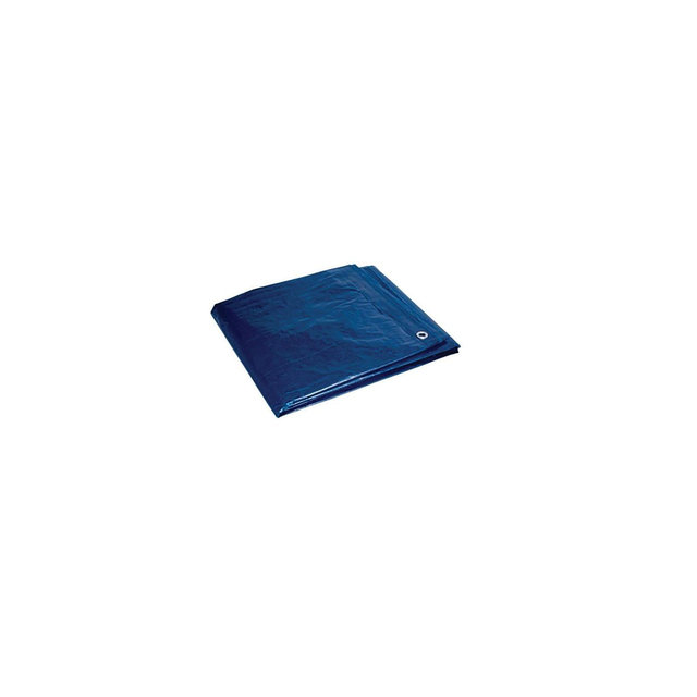 Foremost 10 ft. W X 12 ft. L Heavy Duty Polyethylene Tarp Blue