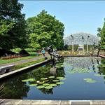 Missouri Botanical Garden