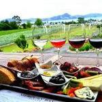 Wine Tours