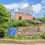 Tennessee Aquarium
