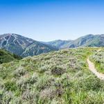 Proctor Mountain Trail Hike