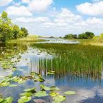Everglades Holiday Park Airboat Tours and Rides
