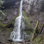Marymere Falls Trail