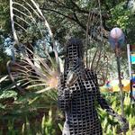 Tucson Botanical Gardens