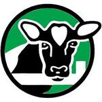 Perrydell Farm and Dairy