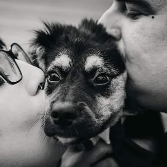 January 2019 - Our Second Favorite Photo Taken During Our Engagement Photos. Locke Looks So Concerned.