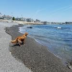 Kennebunk Beach