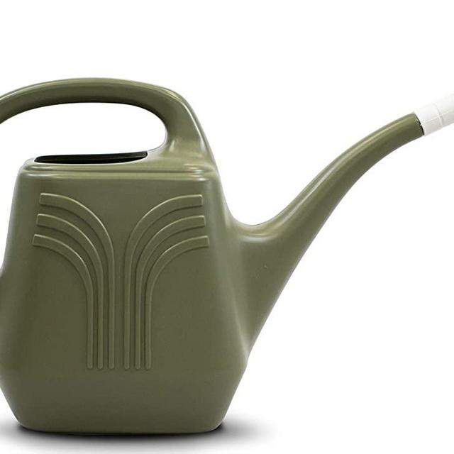 Bloem JW82PROMO-42 Watering Can, 2 Gallon, Living Green