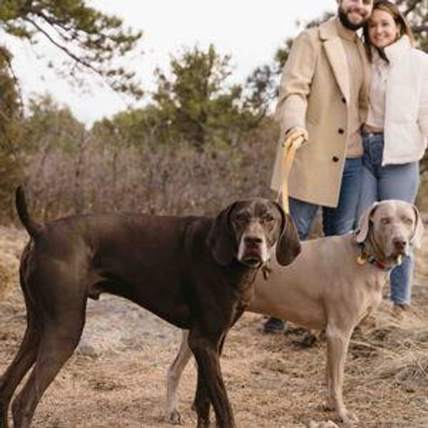One Year of Pet Insurance