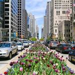 Magnificent Mile