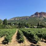 Cassis