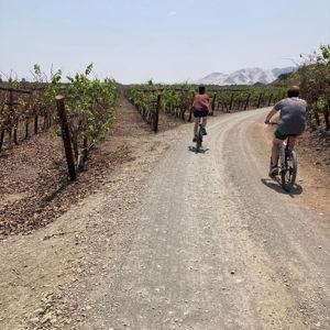 Wine Tasting Across Washington