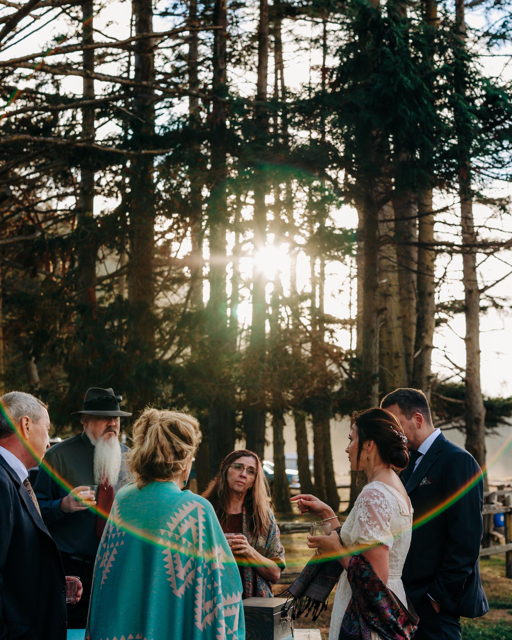 The Wedding Website of Ariel Oksendahl and Michael Evitt