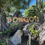 Bongo's Botanical Beer Garden and Cafe