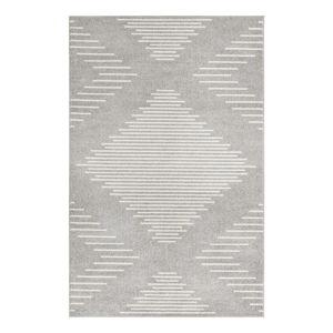 Indoor Rug - Gray/Ivory 5'3x8