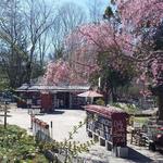 The Book Barn