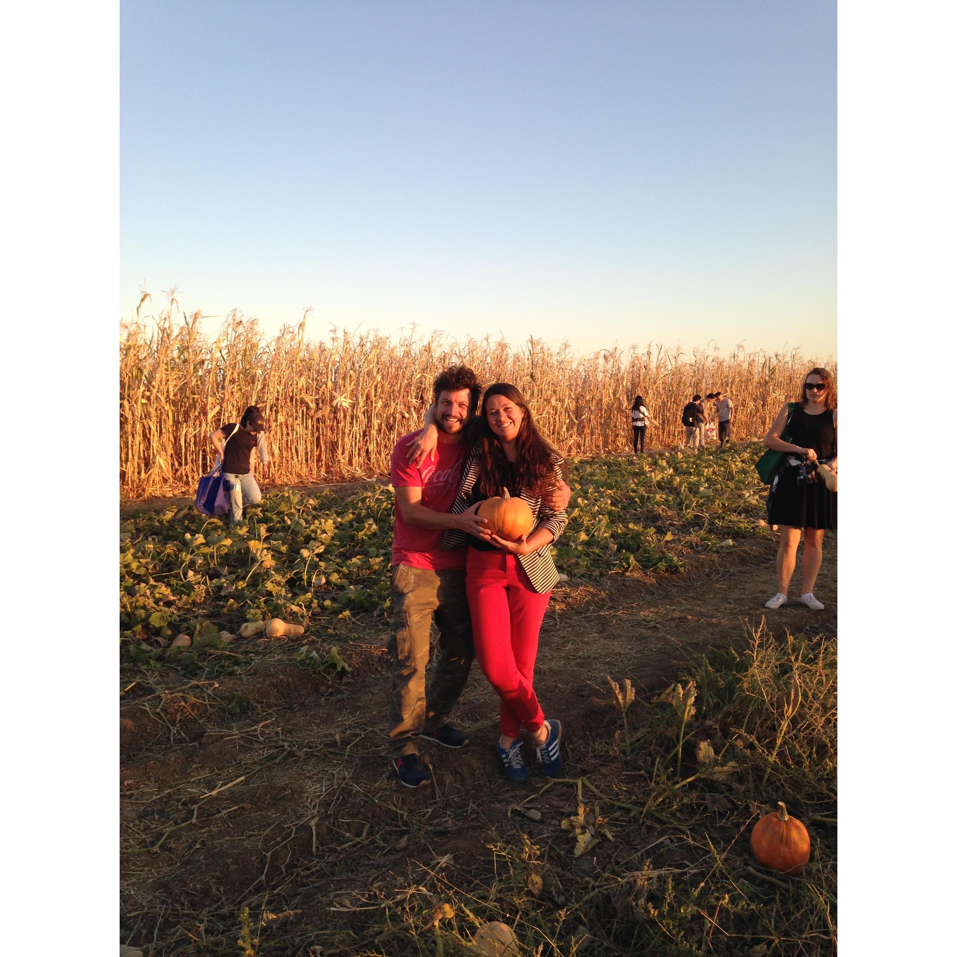 The UC Davis Plant science Pumpkin Festival