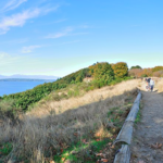 Discovery Park