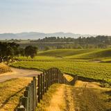 Santa Ynez Valley