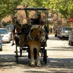 Charleston Carriage Rides