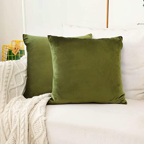 Home Brilliant Velvet Euro Shams Large Cushion Covers Pillow Case for Bedroom Floor Couch, Set of 2, 26 x 26 Inch(66cm), Avocado Green