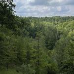 Visit AnnMarie Lookout (AKA “Million Dollar View”)