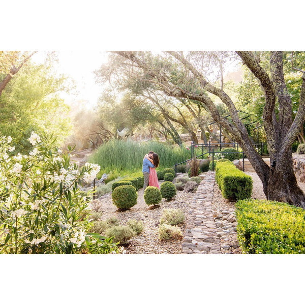 Roxanne Cohen and Alex Finerman's Wedding Website
