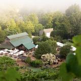 Grandfather Vineyard & Winery