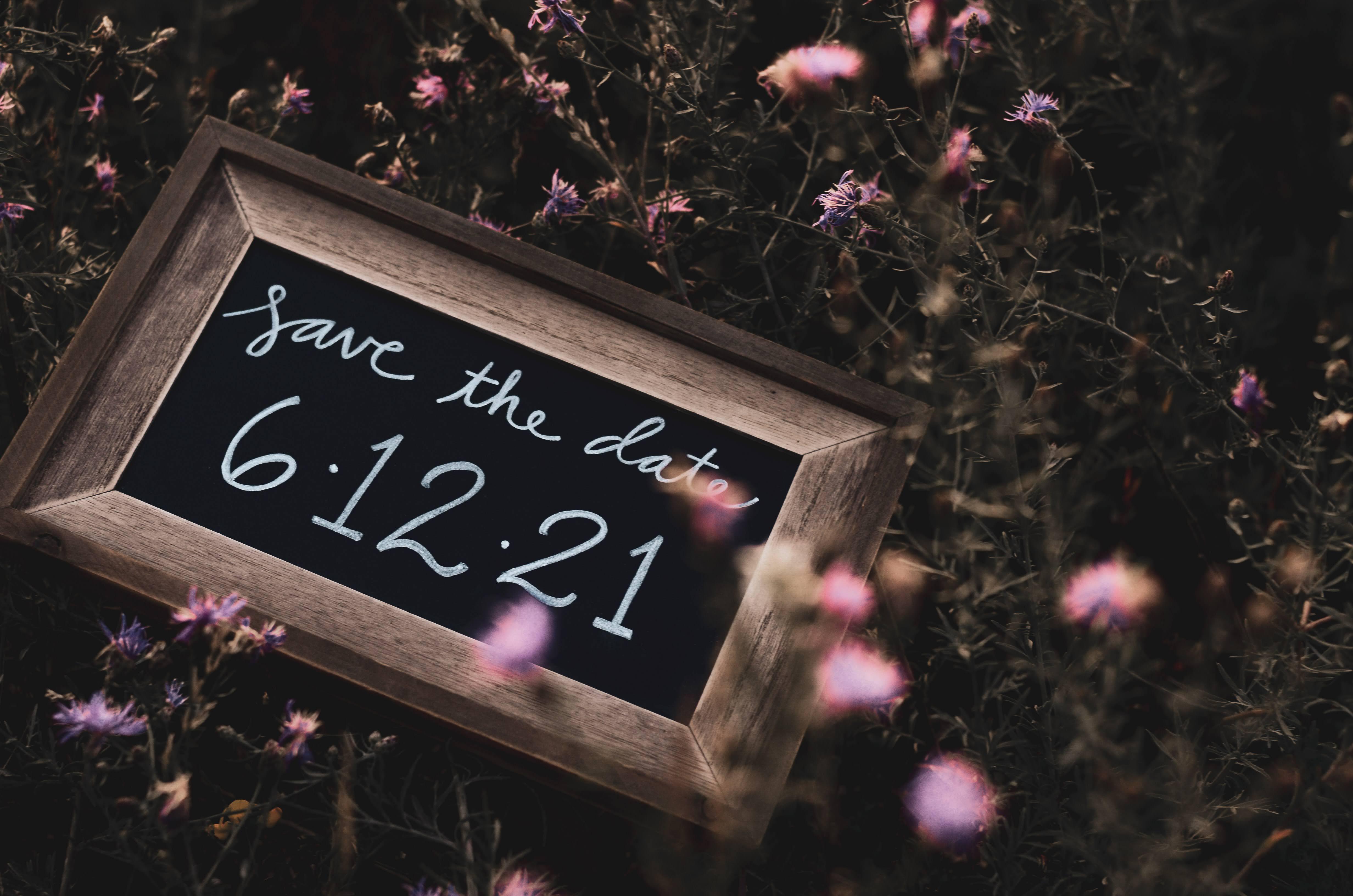 The Wedding Website of Sebastian Padilla and Olivia Jensen