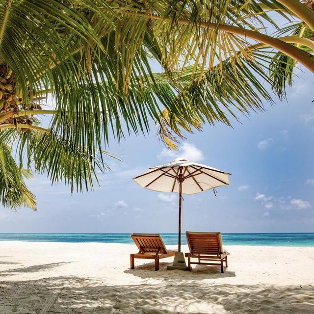 Our Honeymoon Vacation