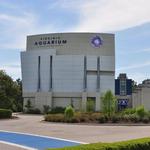 Virginia Aquarium & Marine Science Center