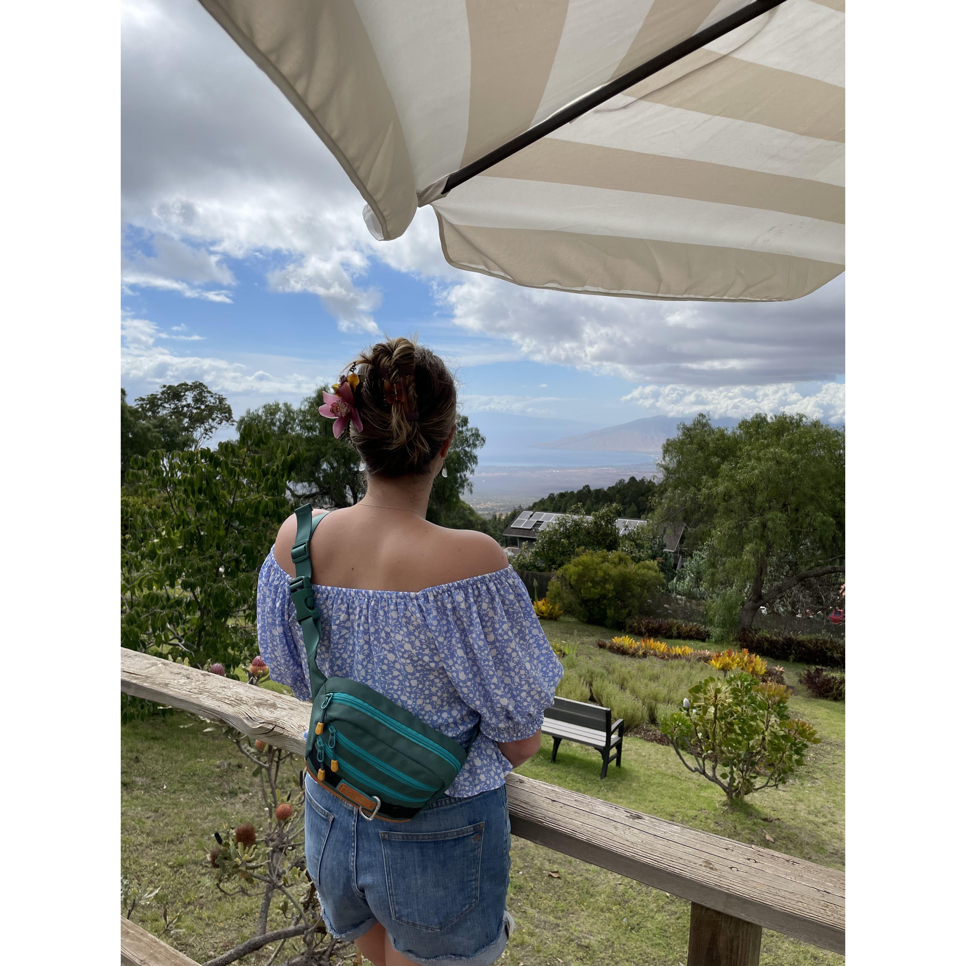 Beautiful views from Ali'i Kula Lavender