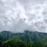 Great Smoky Mountains