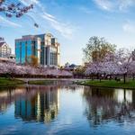 Big Spring International Park