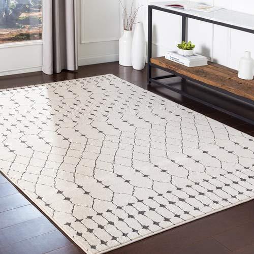 Chubbuck Moroccan Bohemian Farmhouse 7'10" x 10'2" Area Rug