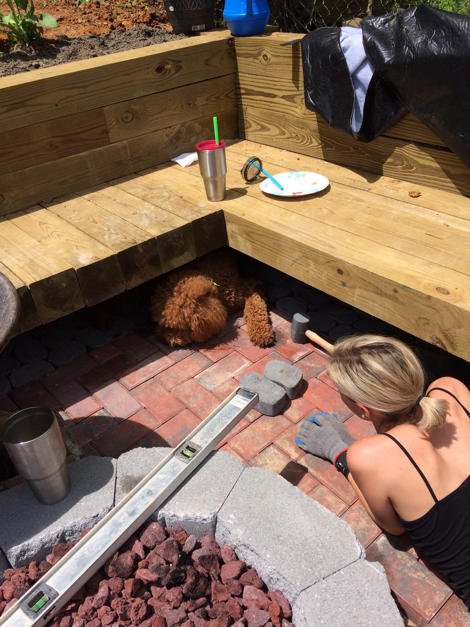 Henry getting in on the patio action