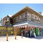 Flora-Bama