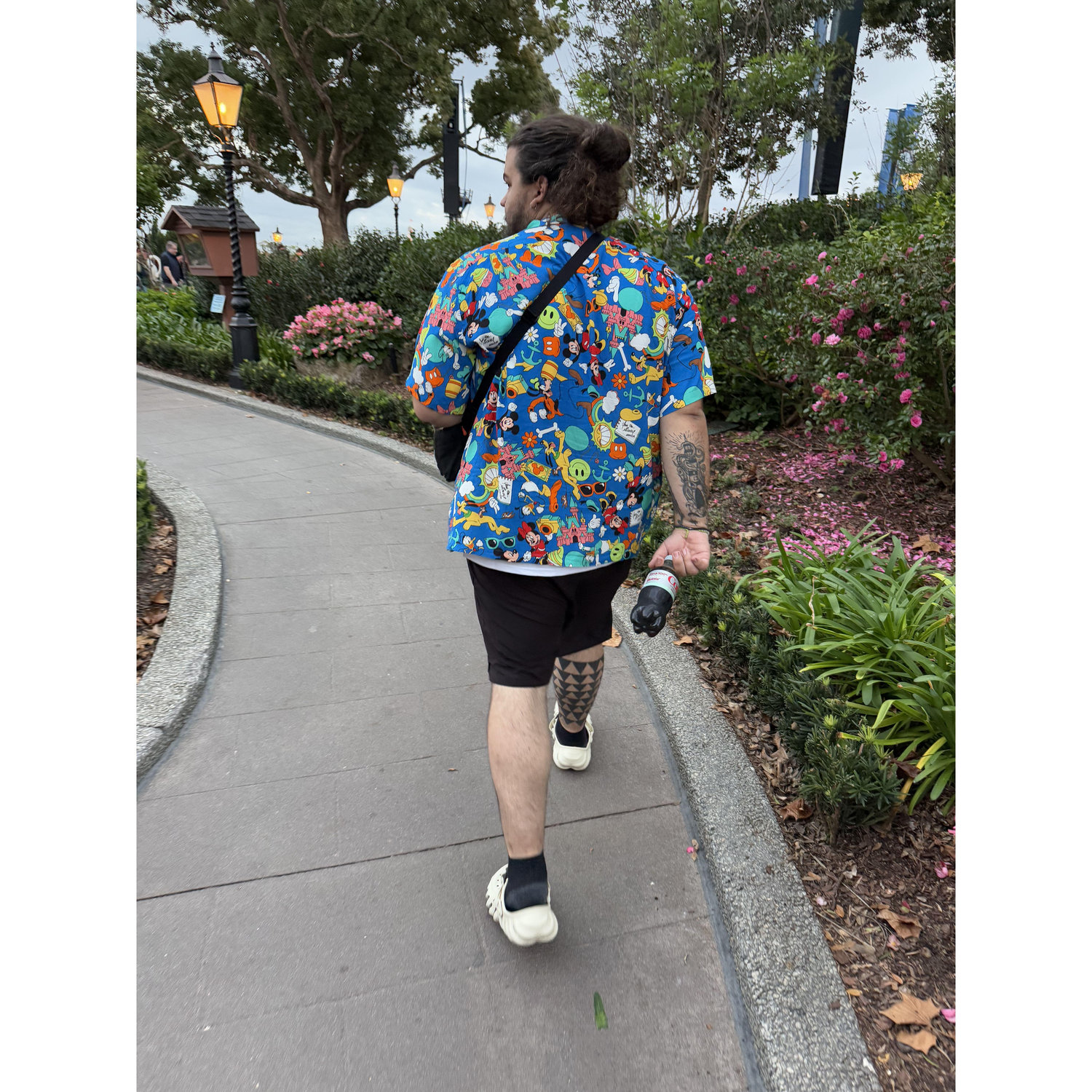 Disney walking