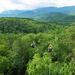 Zipline Tour