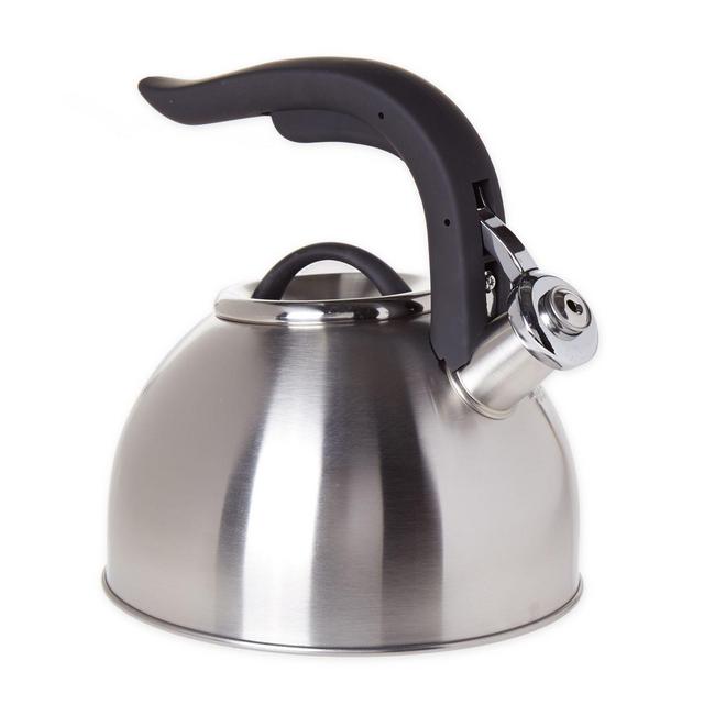 SALT™ 2.1 qt. Stainless Steel Whistling Tea Kettle