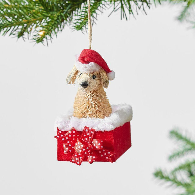 Bottlebursh Puppy in Present Ornament, Multi