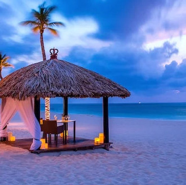 Nice dinner out on our honeymoon