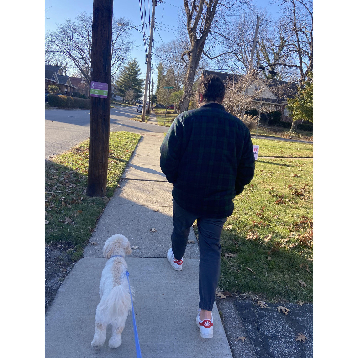 Finley loves walking right next to Sam