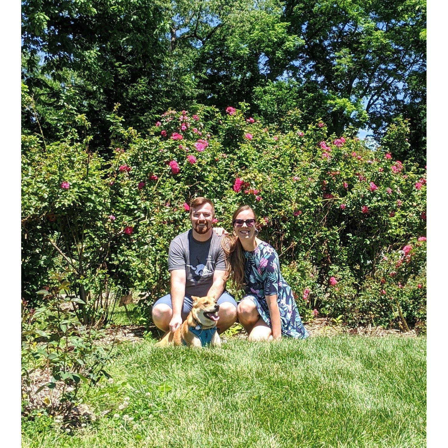 Hiking, June 2020