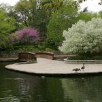 Loose Park
