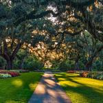 Brookgreen Gardens