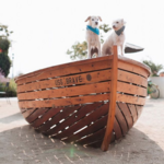 Liberty Station Public Market