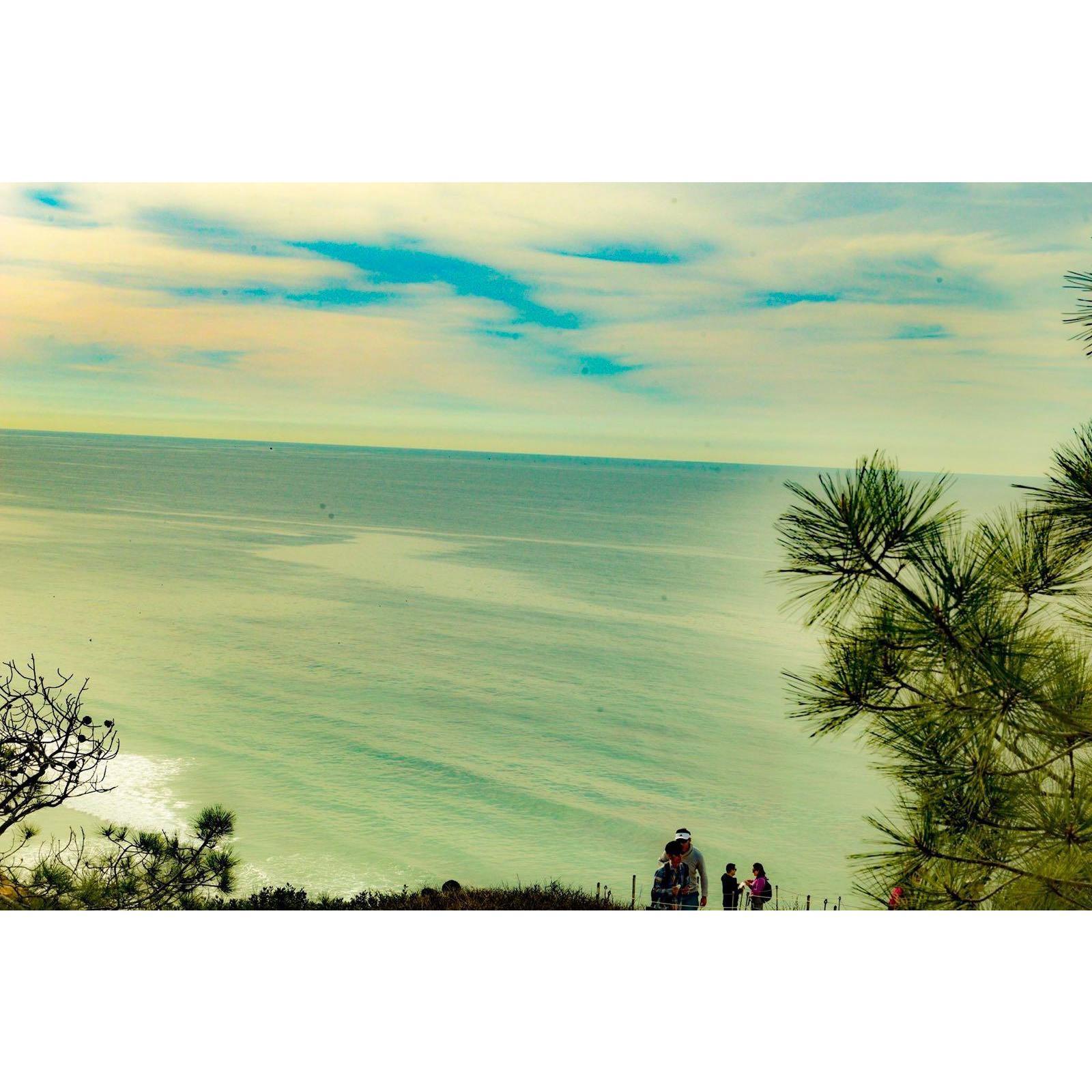 Cindy Guido, the family paparazzi, took some amazing pictures from a ways away.