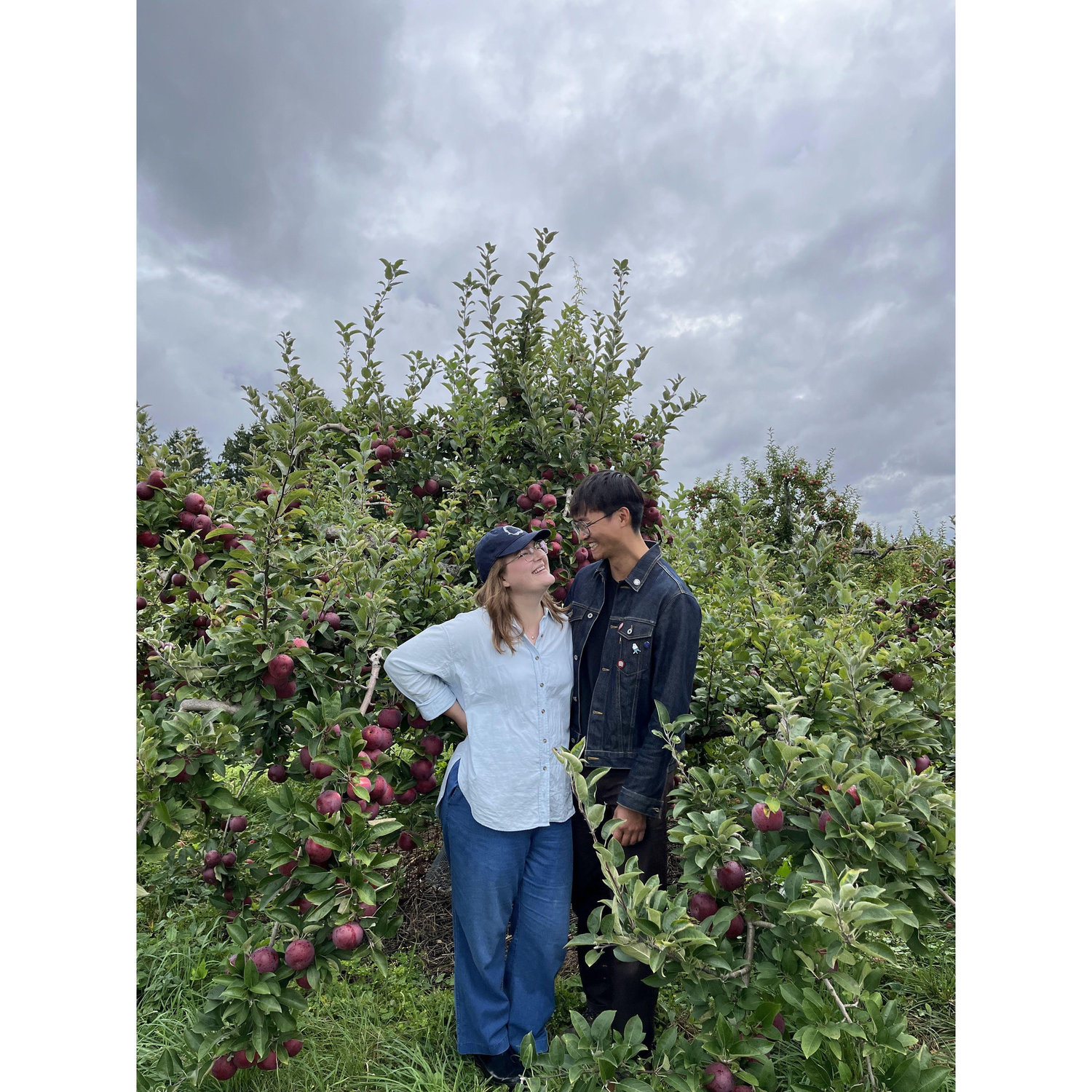 Apple picking 2024