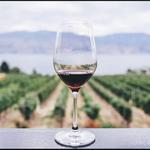 Long Island Wineries